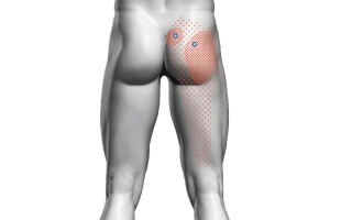 Грушевидная мышца (m. piriformis)
